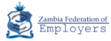 ZFE